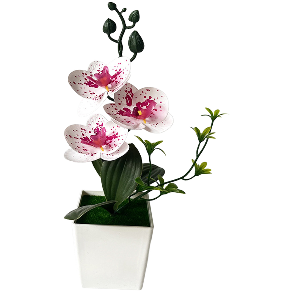 For Mini Artificial Phalaenops - огляд і ціна Home Office Depot