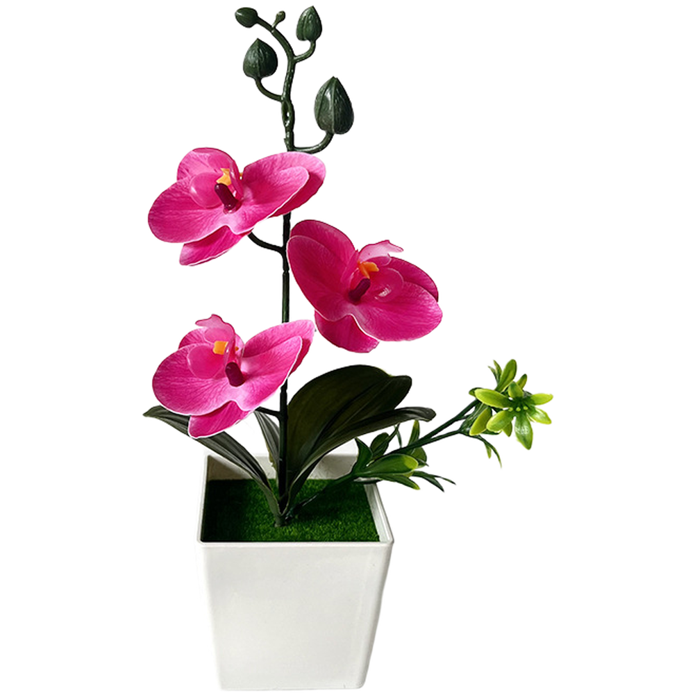 For Mini Artificial Phalaenops - огляд і ціна Home Office Depot