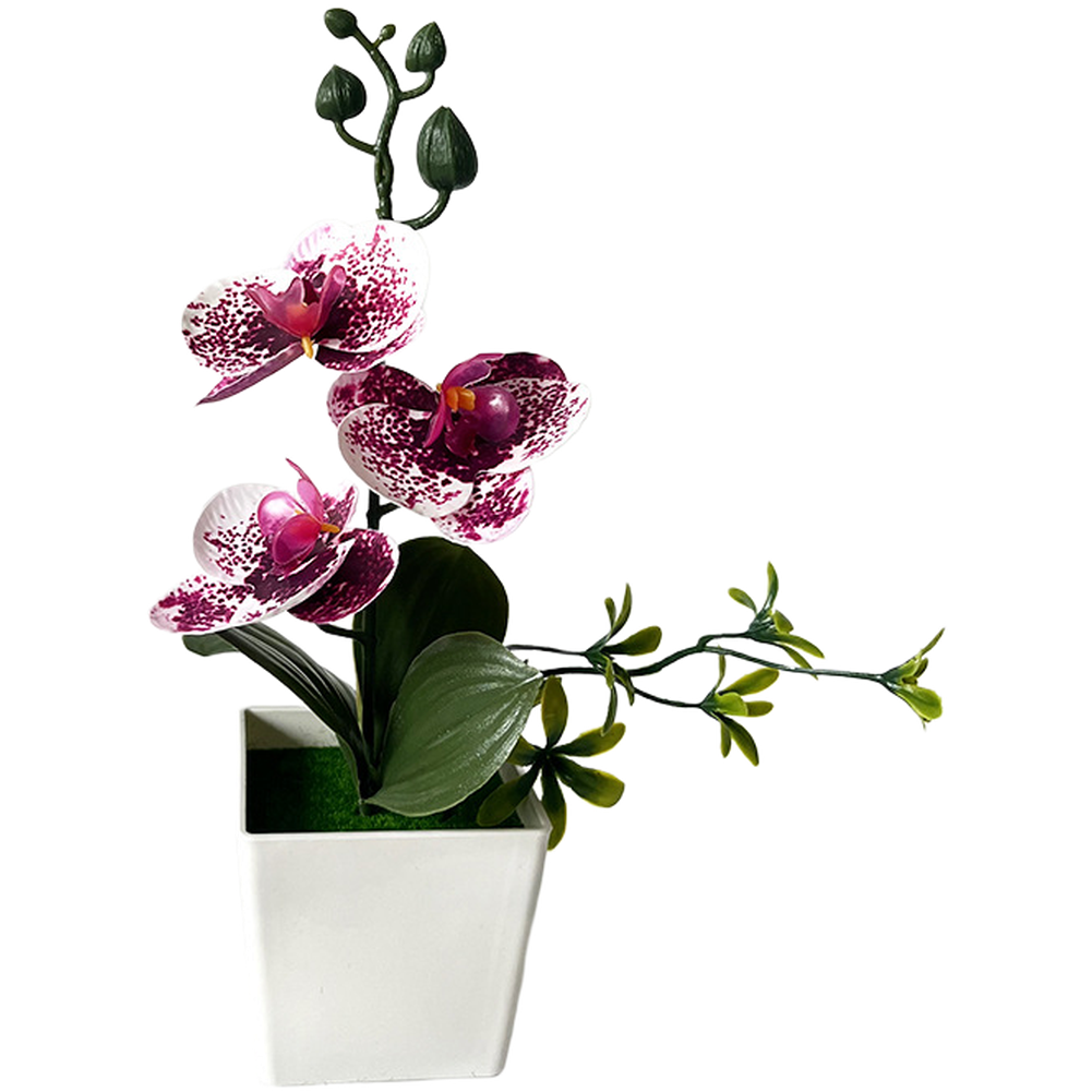 For Mini Artificial Phalaenops - огляд і ціна Home Office Depot