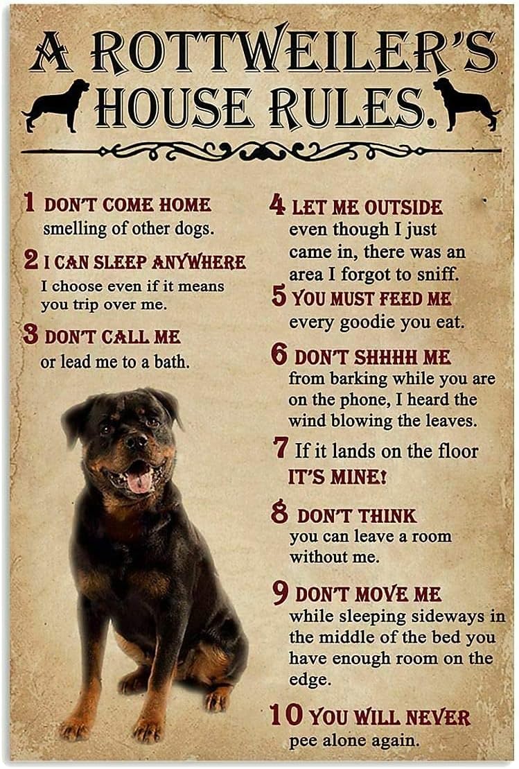 A Rottweiler;S House Rules Met - огляд і ціна Home Office New Rules