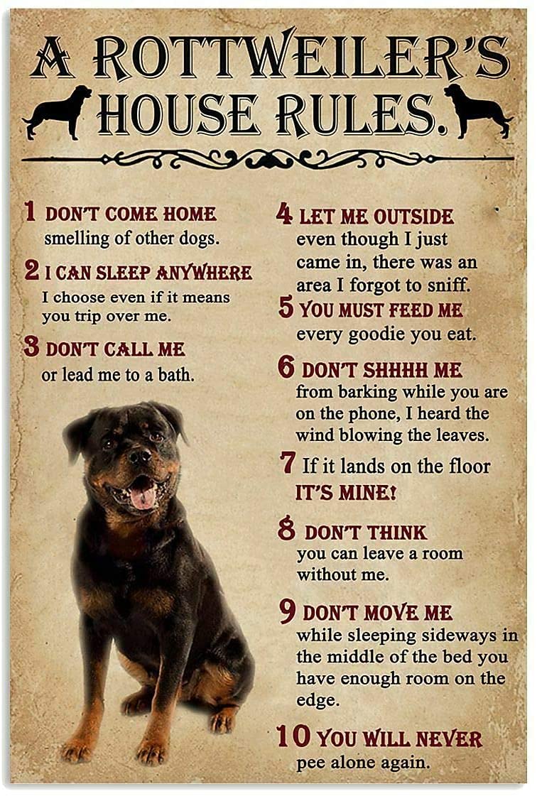 A Rottweiler'S House Rules Met - огляд і ціна Home Office New Rules