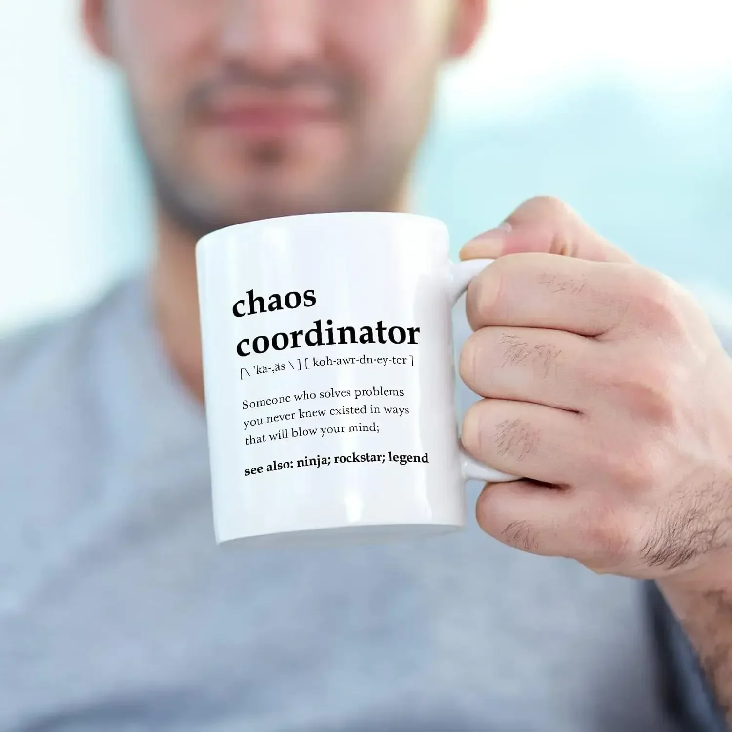 Chaos Coordinator Dictionary D - огляд і ціна Home Office Dictionary